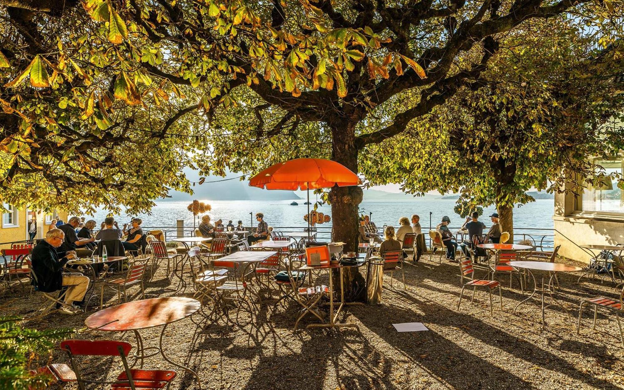 Hotel Terrasse Am See Vitznau Bagian luar foto